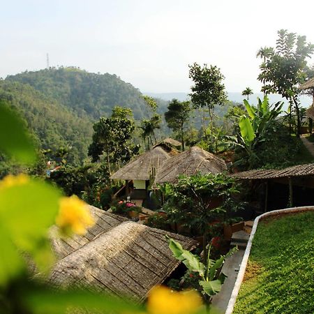 Eco Tones Hotel Munnar Ngoại thất bức ảnh